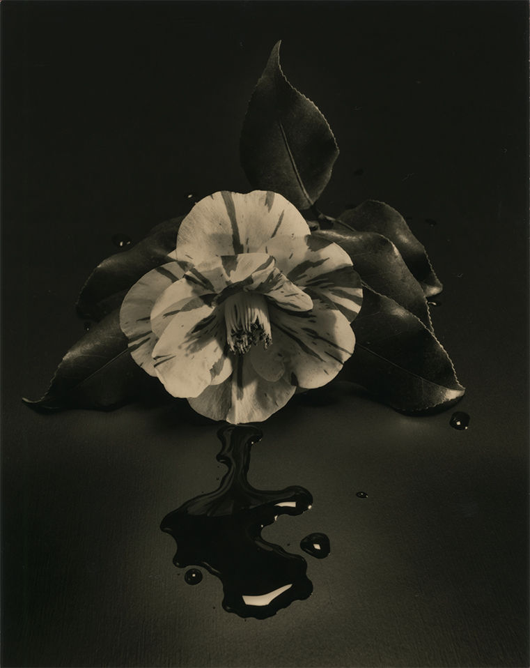 Yamamoto Masao, Tomosu 6000, 2023