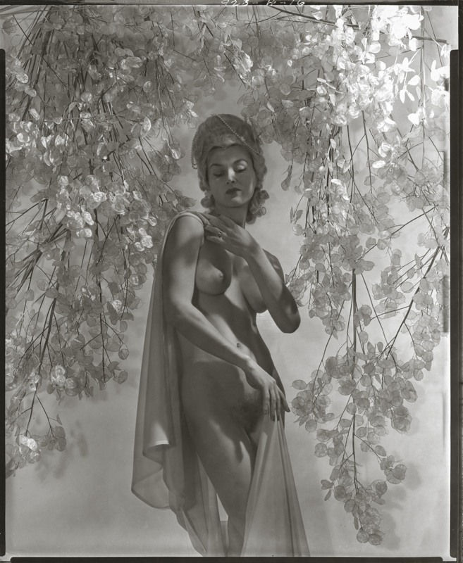 Horst P. Horst, Lisa vith Money Plant (variant), 1939