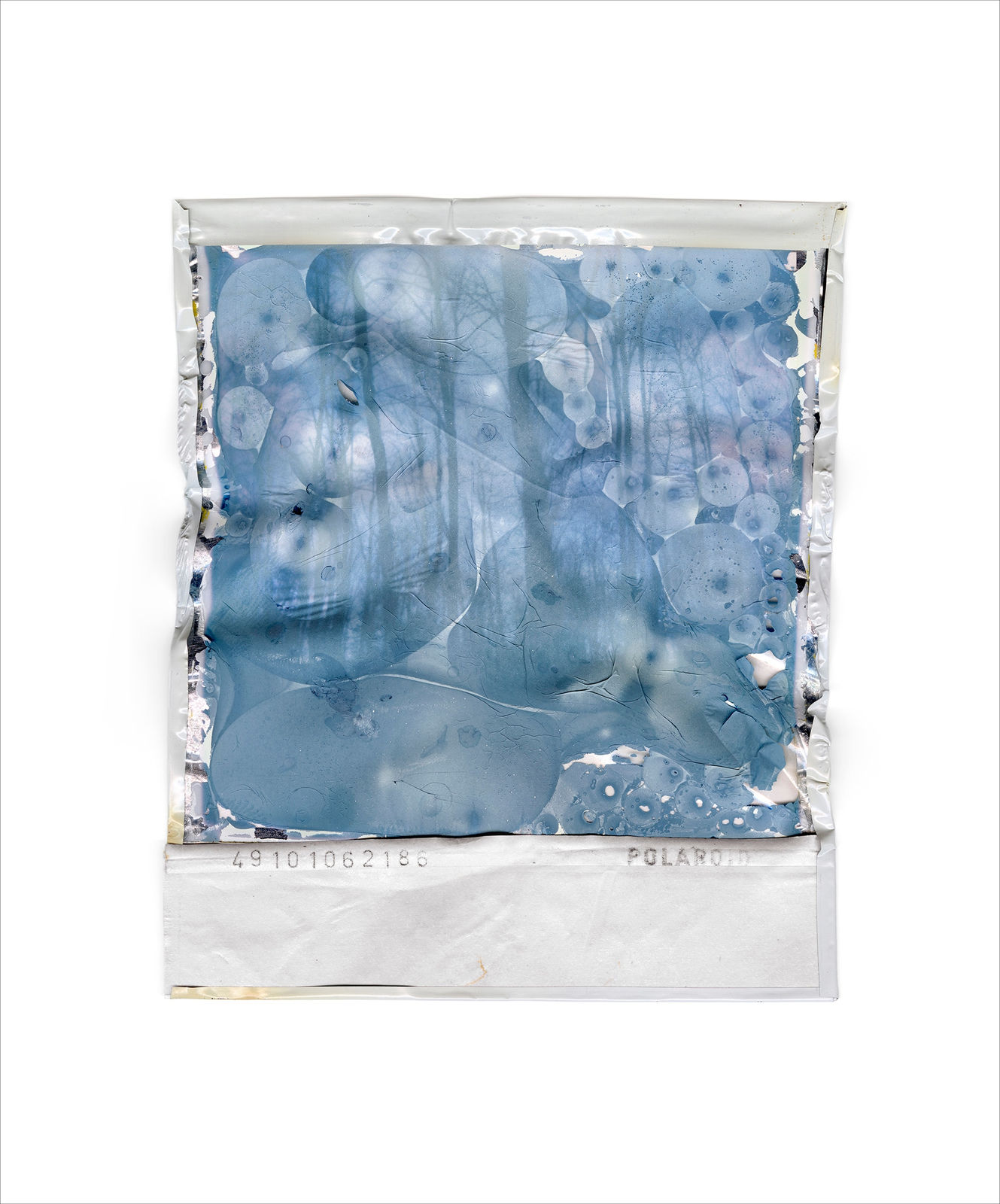 Gohar Dashti, Disappearing Nature #8, 2022