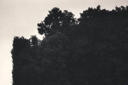 Michael Kenna, Fall Foliage, Sceaux, France, 1987