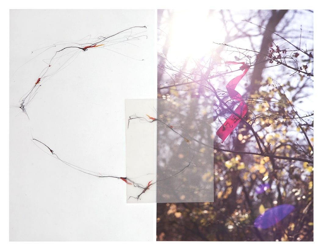 Sandi Haber Fifield, Untitled (LF16 #112), 2016