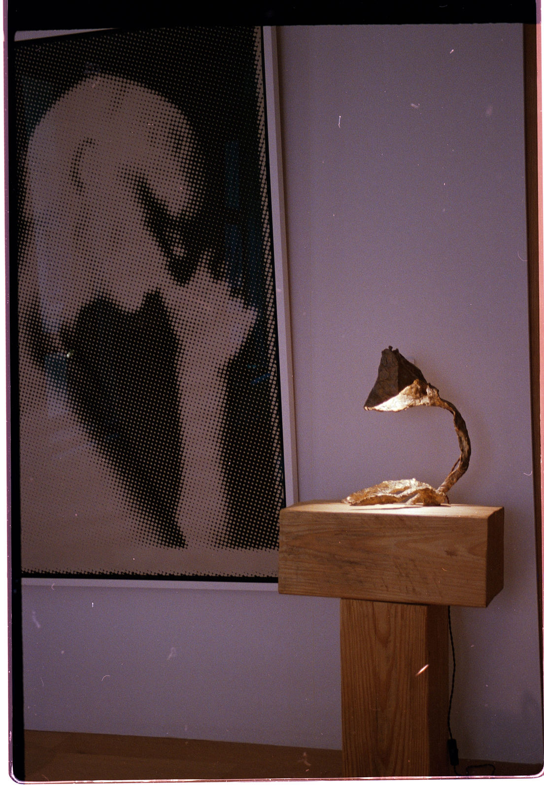 Vagujhelyi, Atys Lamp