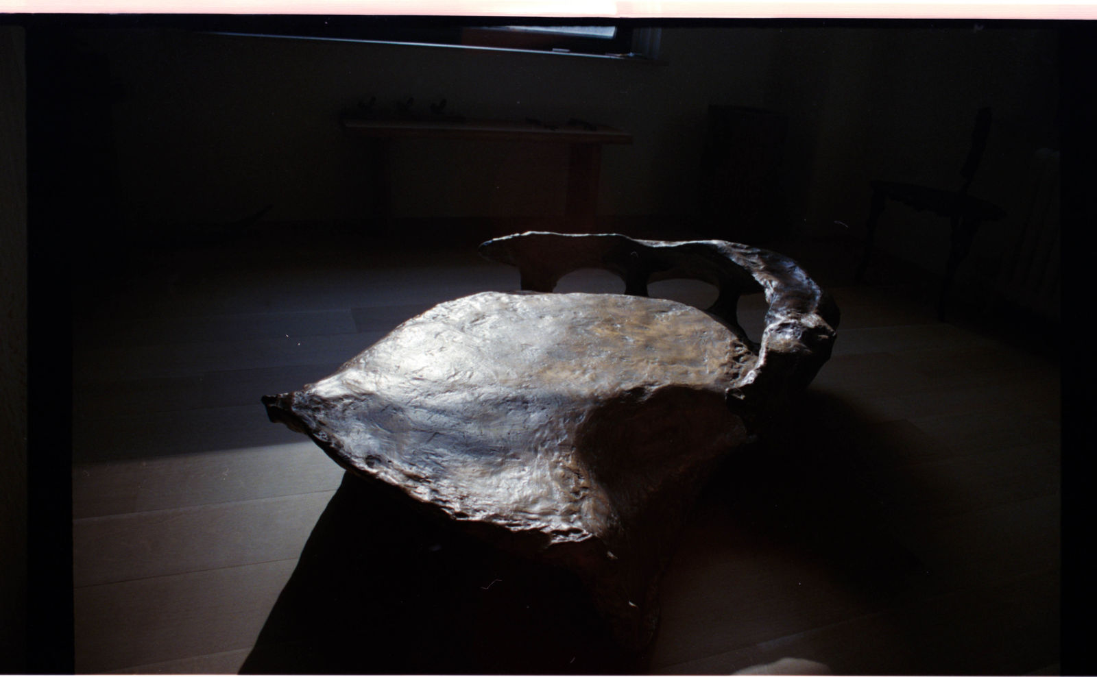 Vagujhelyi, Anya Platform Coffee Table