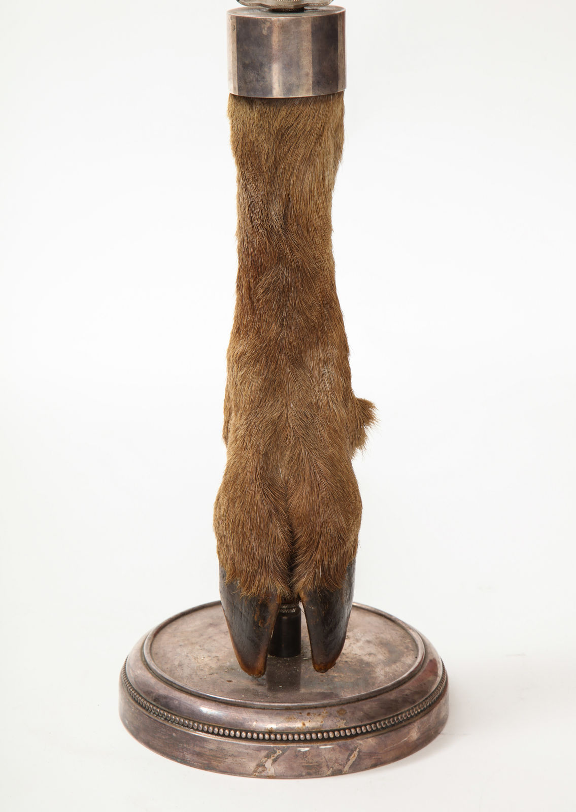 Table Lamp with Deer Hoof on Nickel Base