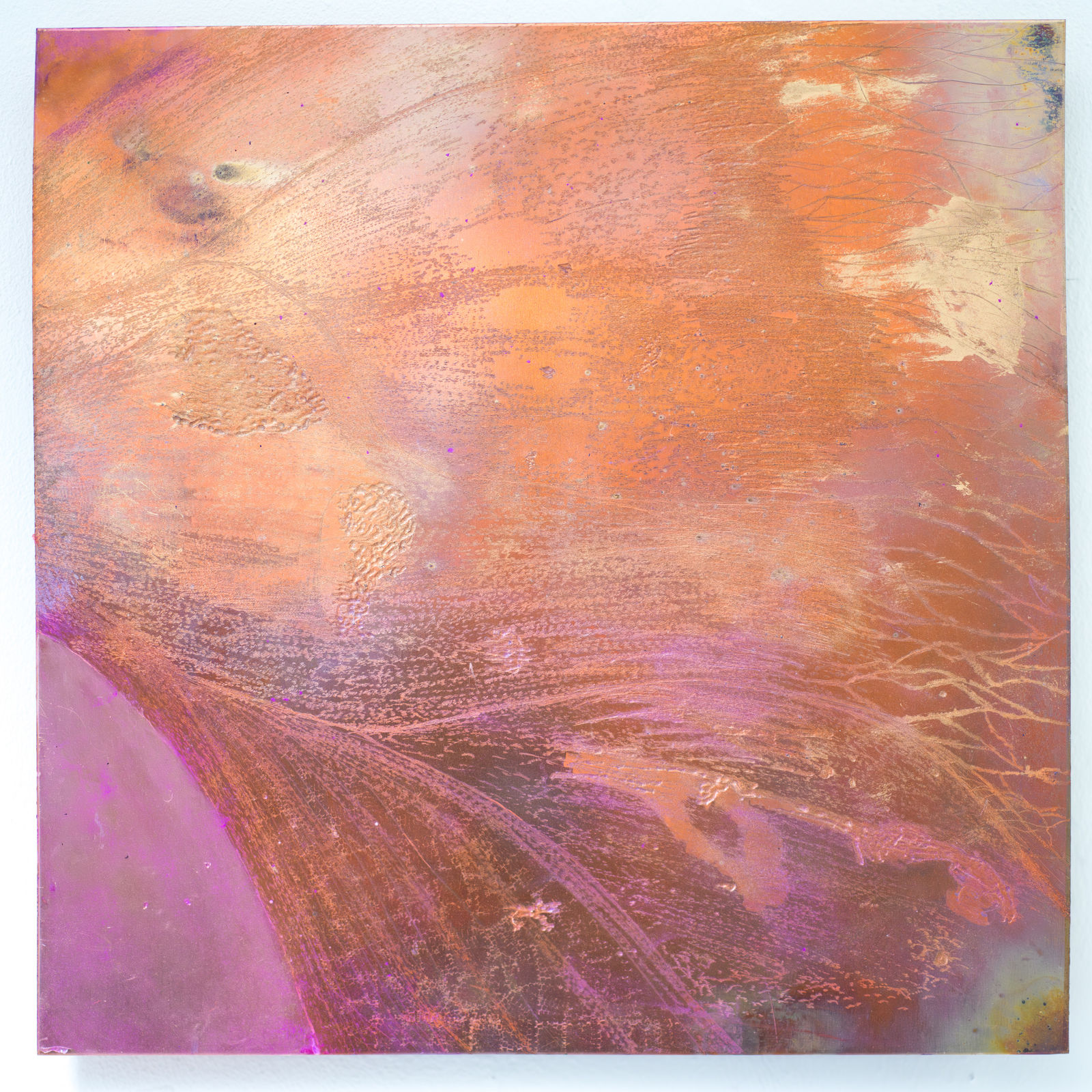 Roisin Jones, Glimpse I, 2024-5