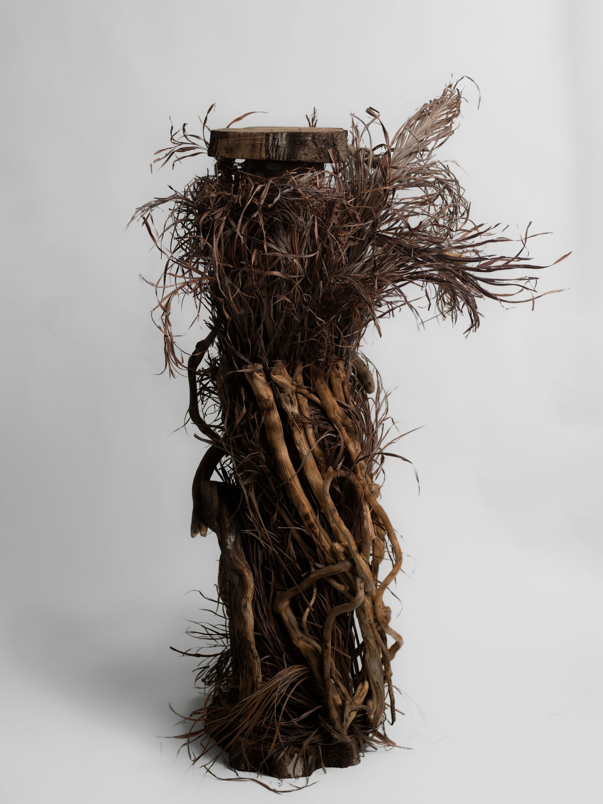 Roisin Jones, Untitled, 2023