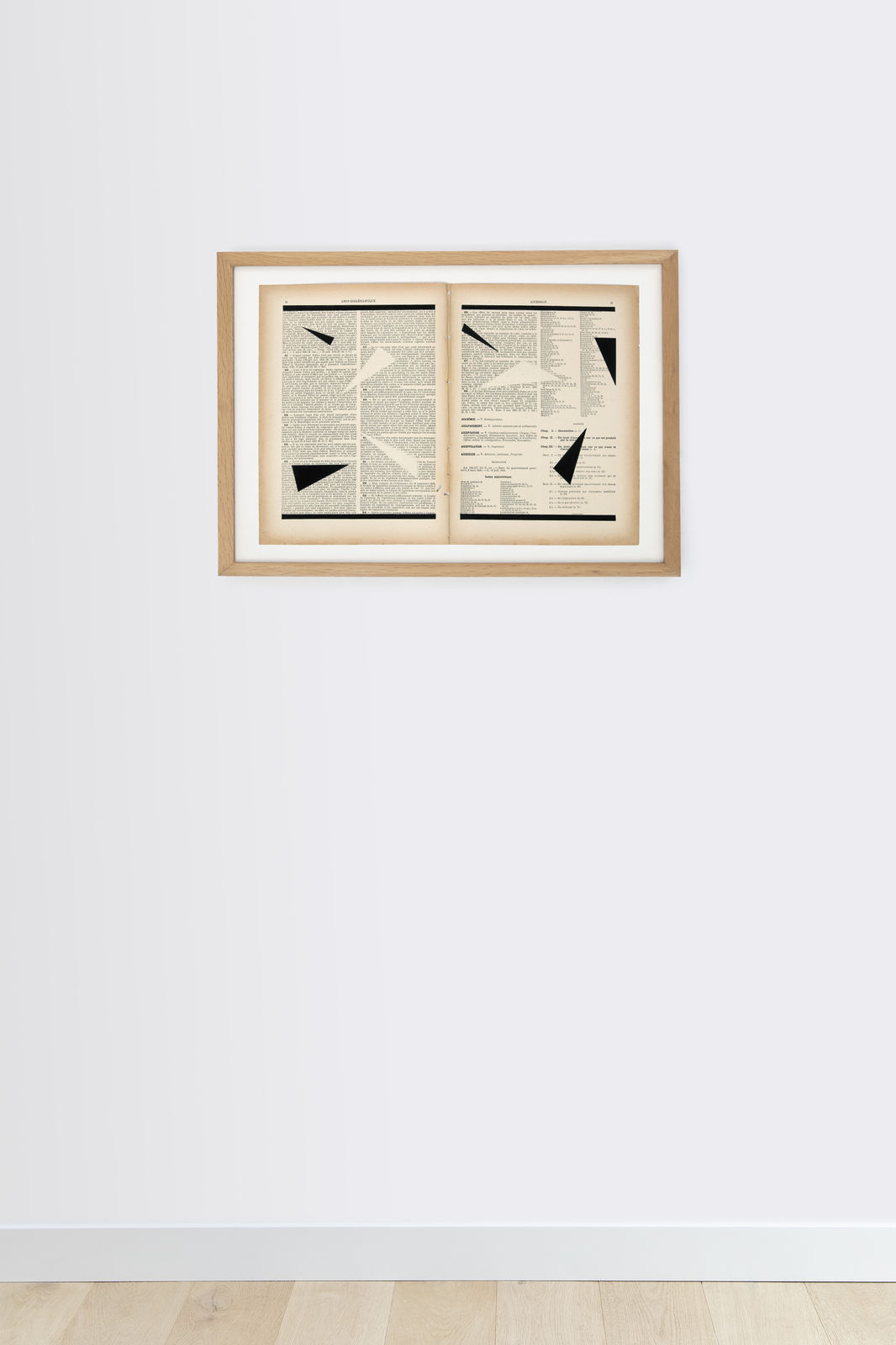 Marinda Vandenheede, Pars Pro Toto - Accession I, 2021