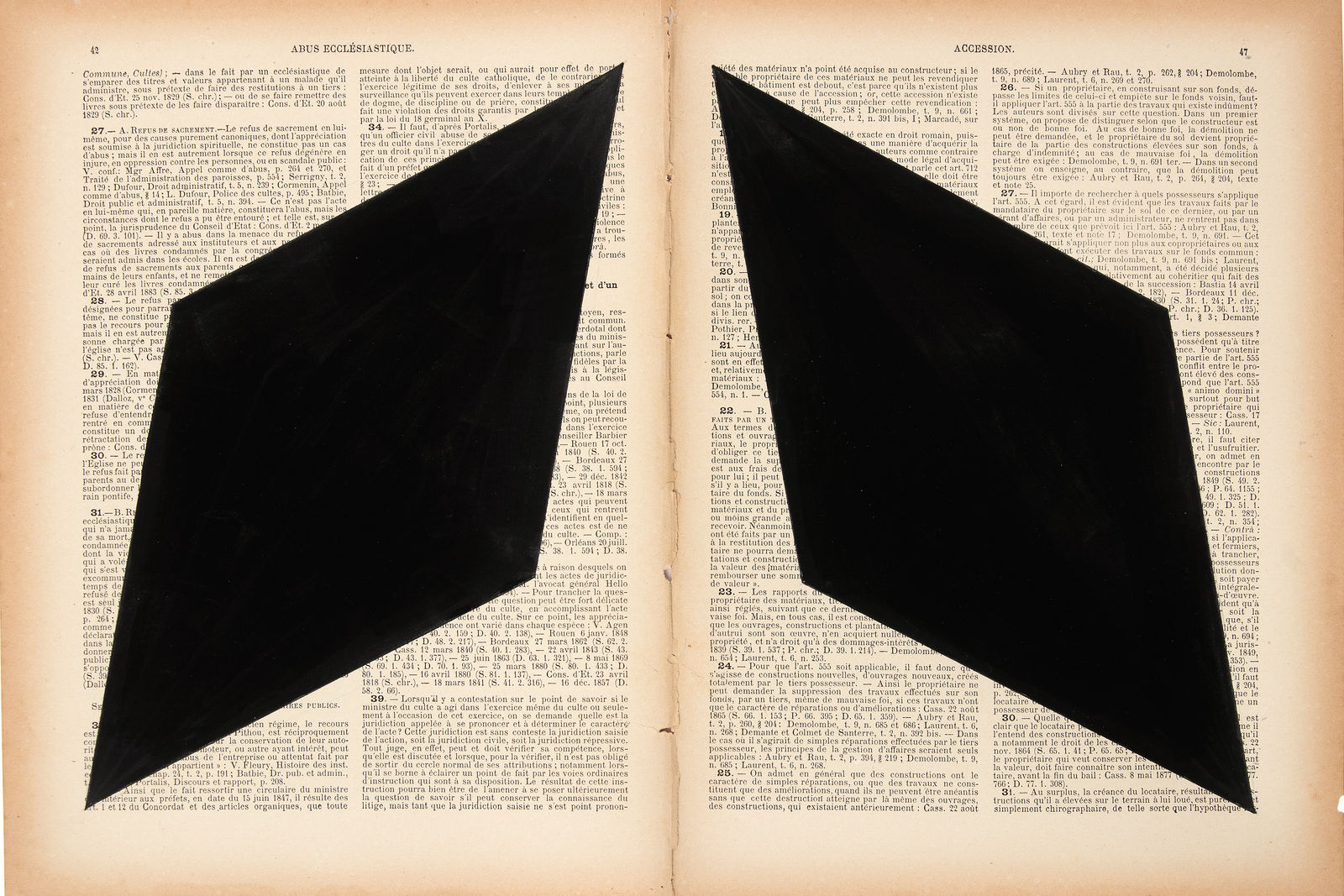 Marinda Vandenheede, Pars Pro Toto - Accession II, 2021