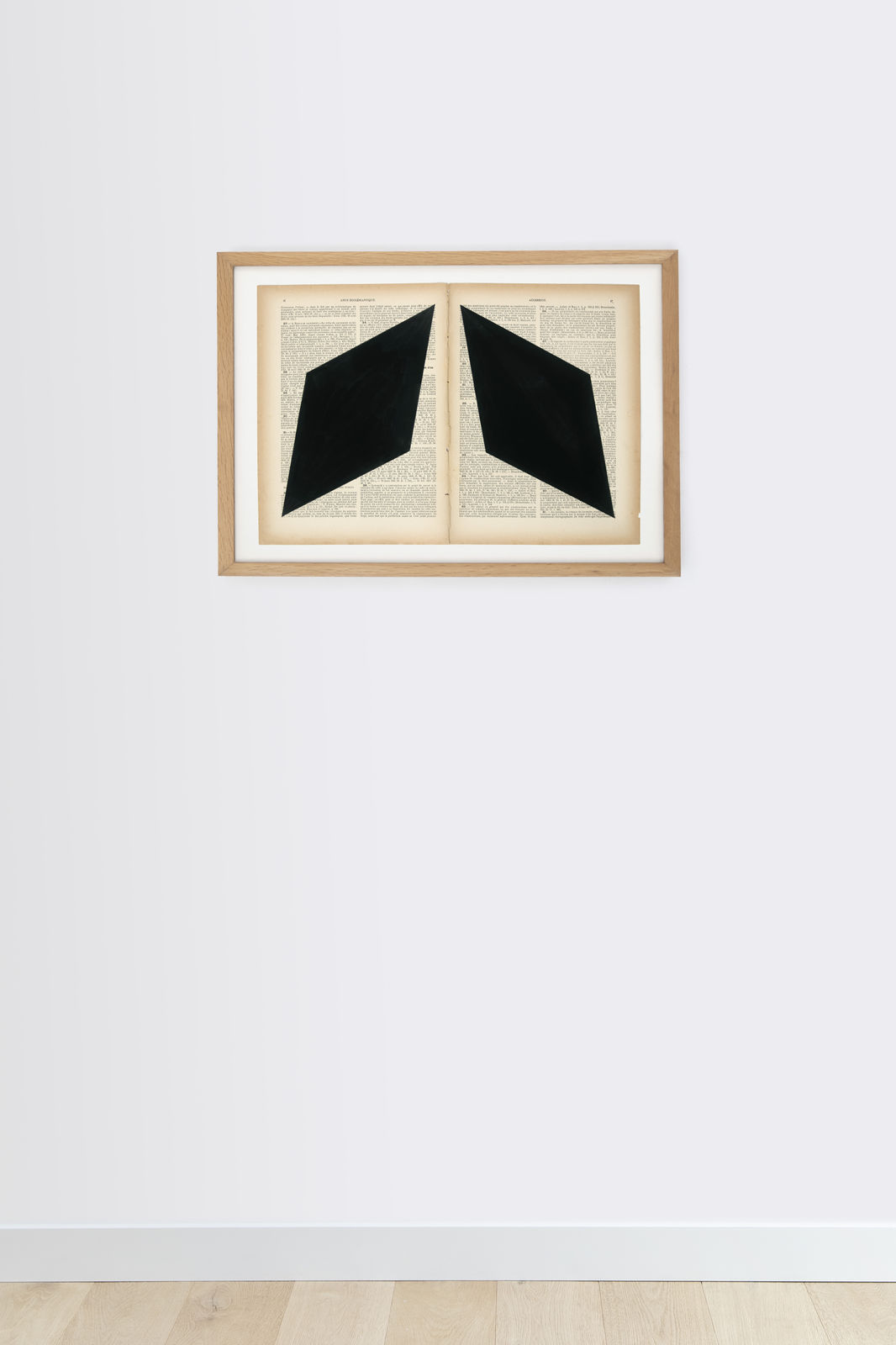 Marinda Vandenheede, Pars Pro Toto - Accession II, 2021