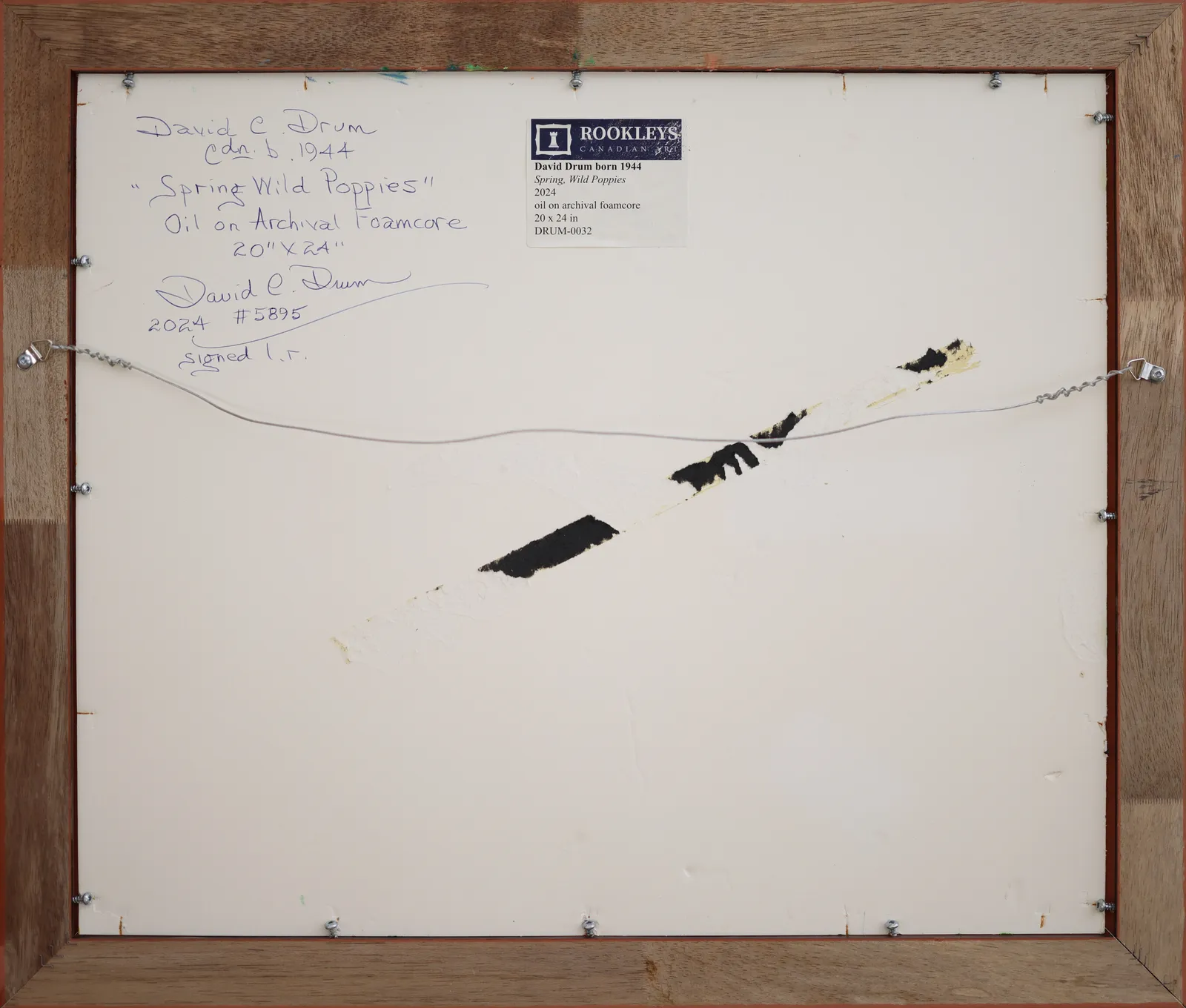 David Drum, Spring, Wild Poppies, 2024