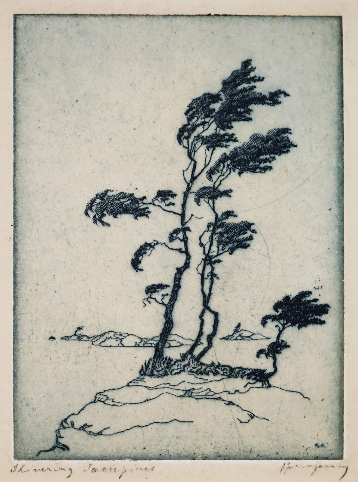 Nicholas Hornyansky, Shivering Jack Pine, c 1930