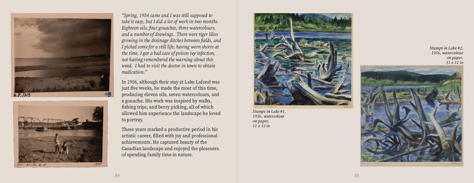 Jack Beder, Stumps in Lake #1, 1956