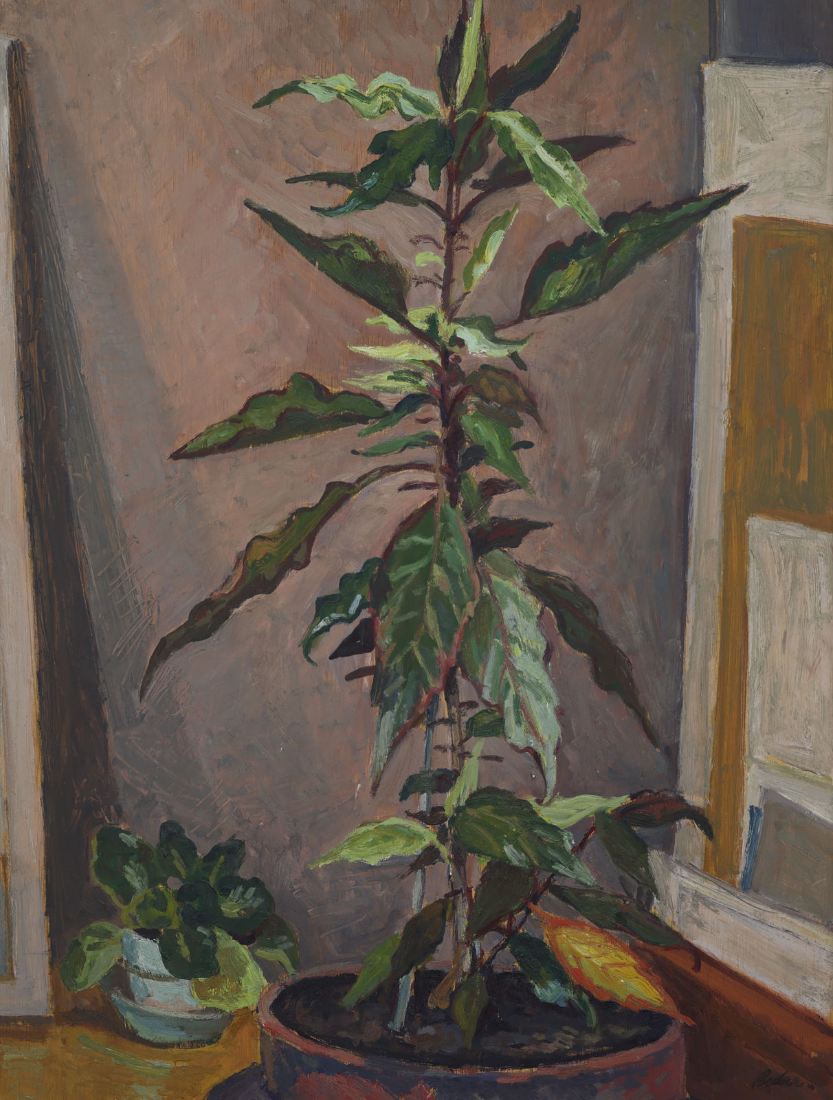 Jack Beder, Two Plants, 1963