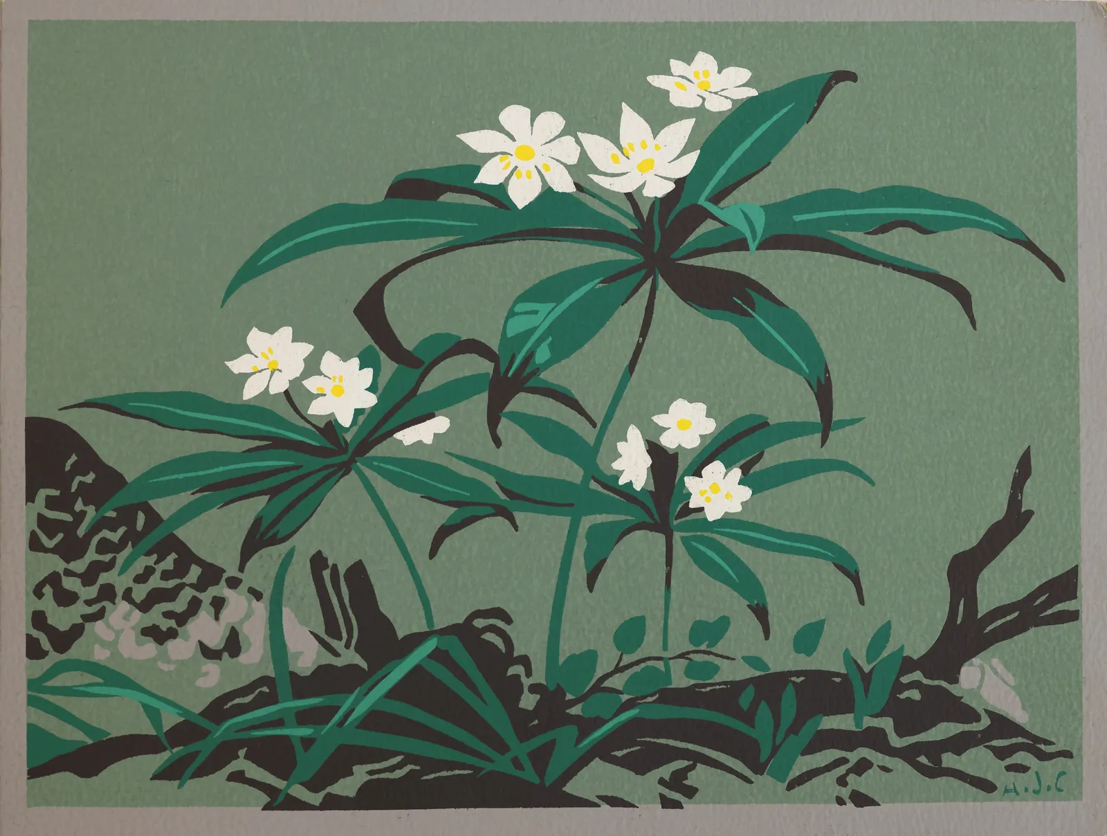 A.J. Casson, Chickweed Wintergreen, c 1970