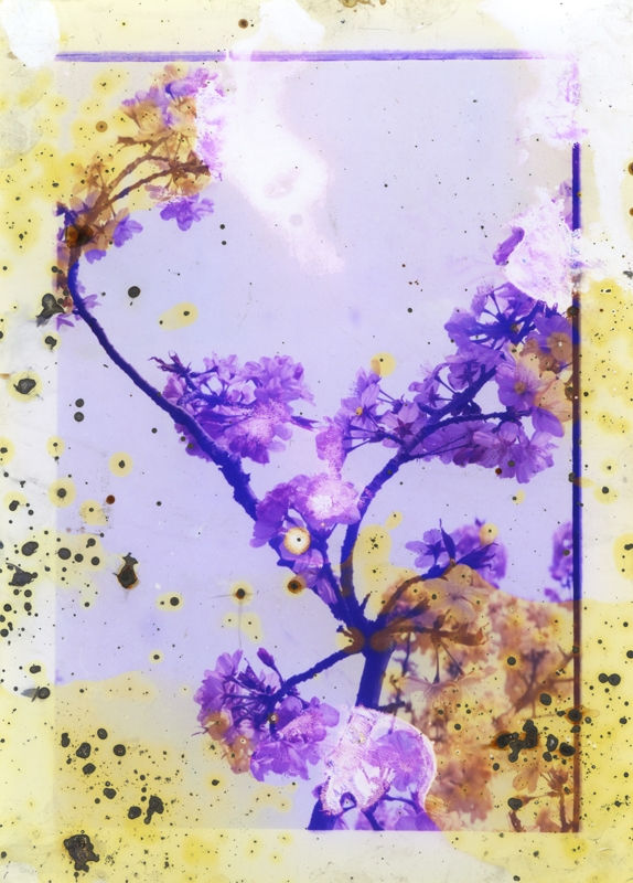 Melinda Gibson Thomas Sauvin, Untitled III (form the series Lunar Caustic), 2014