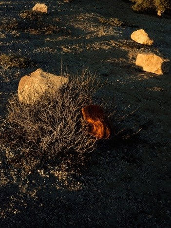 Tania Franco Klein, Wig, Dead Sea, 2017