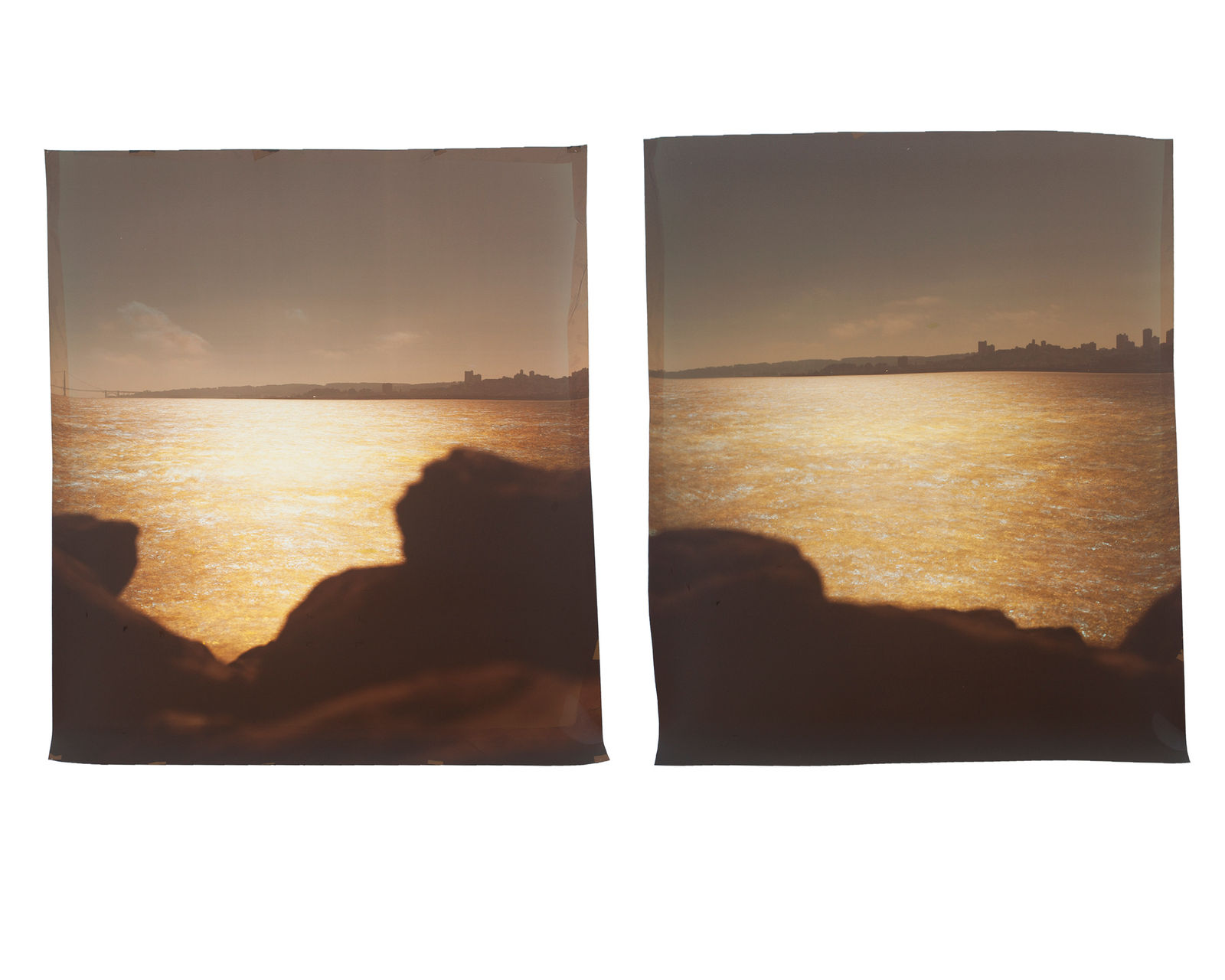 John Chiara, Avenue of the Palms at 6th Street, Treasure Island, 2022