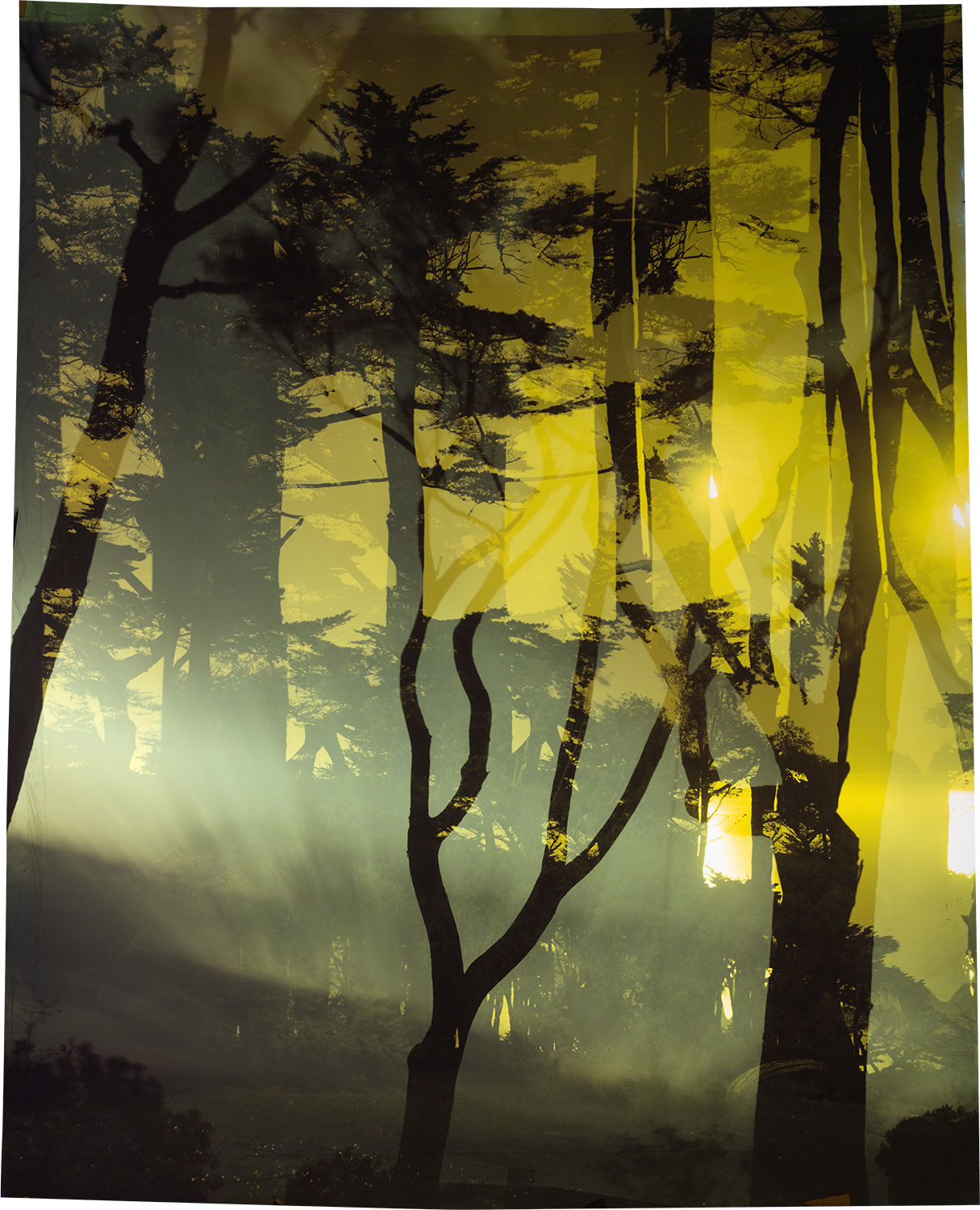 John Chiara, Starr King : Martin Luther King : Lands End, 2021