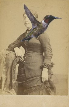 James Gallagher, Untitled, 2015