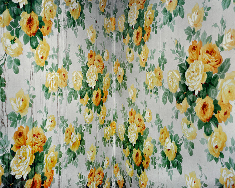 Christian Patterson, Falling Flowers, From the Series "Redheaded Peckerwood", 2008