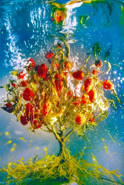 Chiron Duong, treasure, 2024