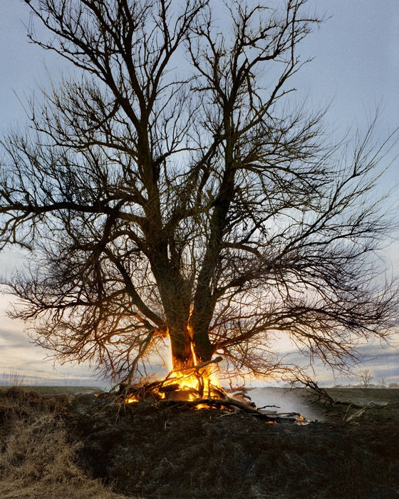 Christian Patterson, Tree on Fire, From the Series "Redheaded Peckerwood", 2009