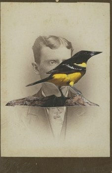 James Gallagher, Untitled, 2015