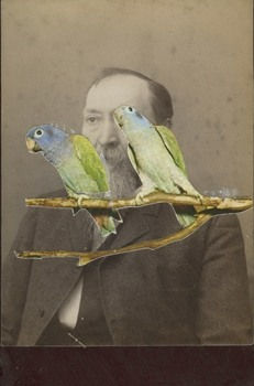 James Gallagher, Untitled, 2015