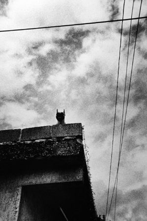 Jessica Lange, Mexico, 1992-2008