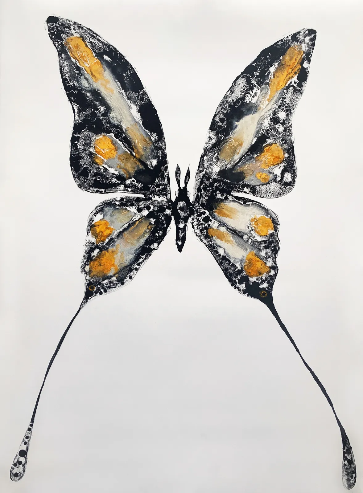 Stuart MacKenzie RSA, Species Morphology: Comet Moth Swallowtail Hybrid 3