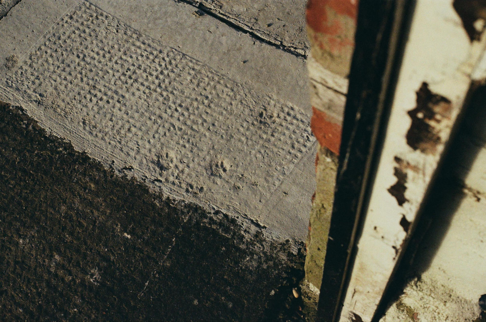 Toby Blackman, In Concrete, at the Softest Stages, 2025