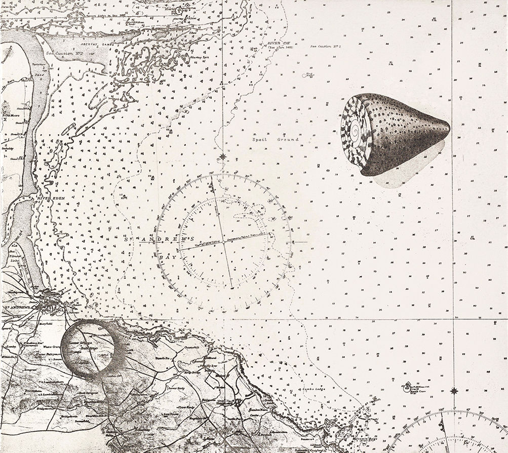 Marion Smith RSA, Belonging, 2017