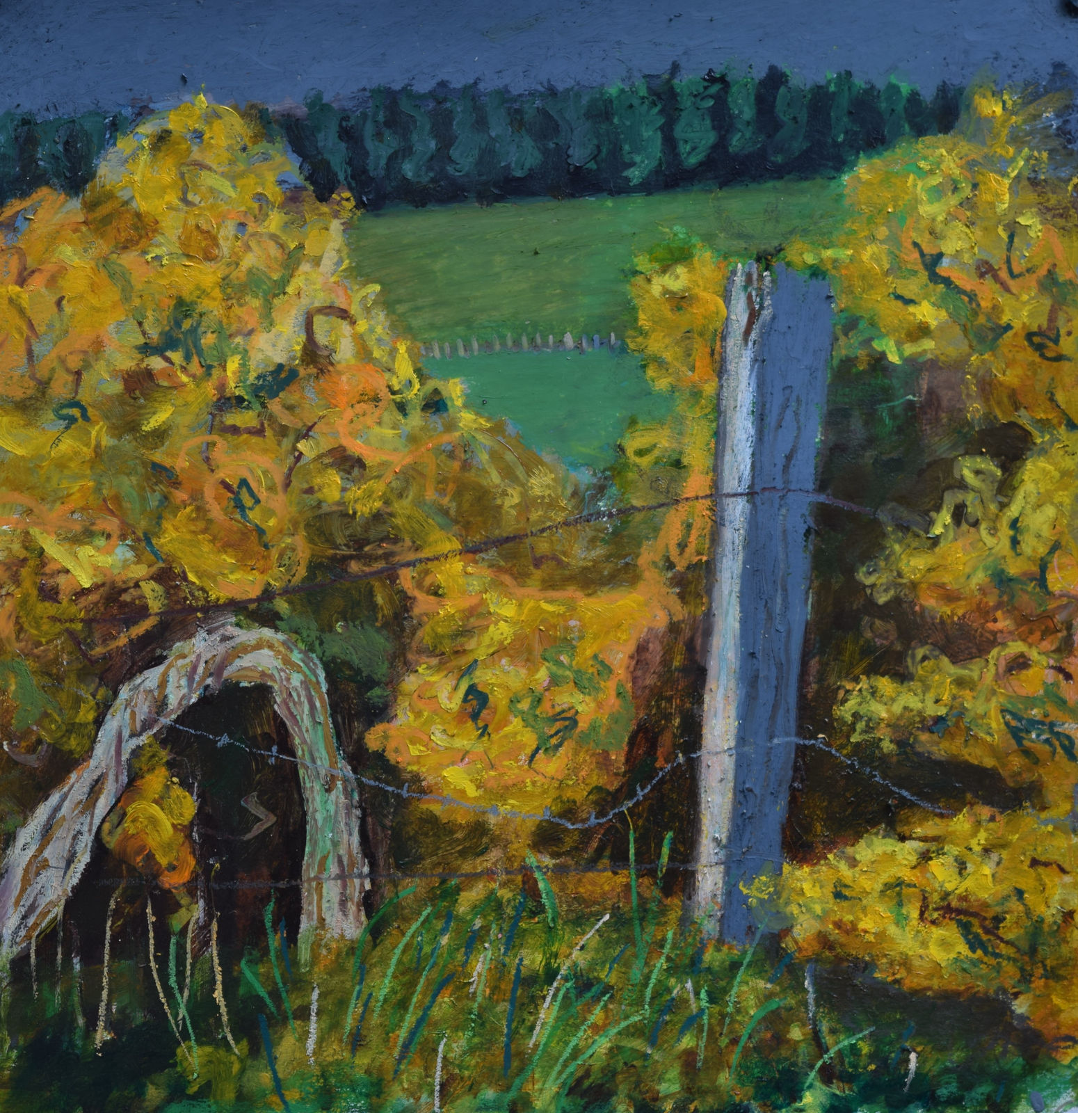 Neil Macpherson RSA, Evening from the Old Italian POW Road, 2019