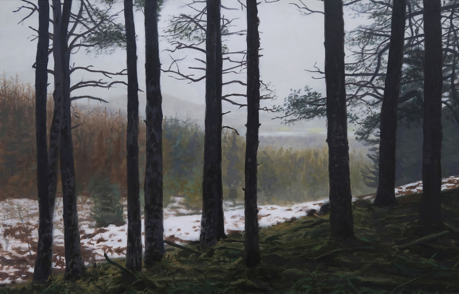 Philip Braham RSA, Winter Dawn in Torlum Wood