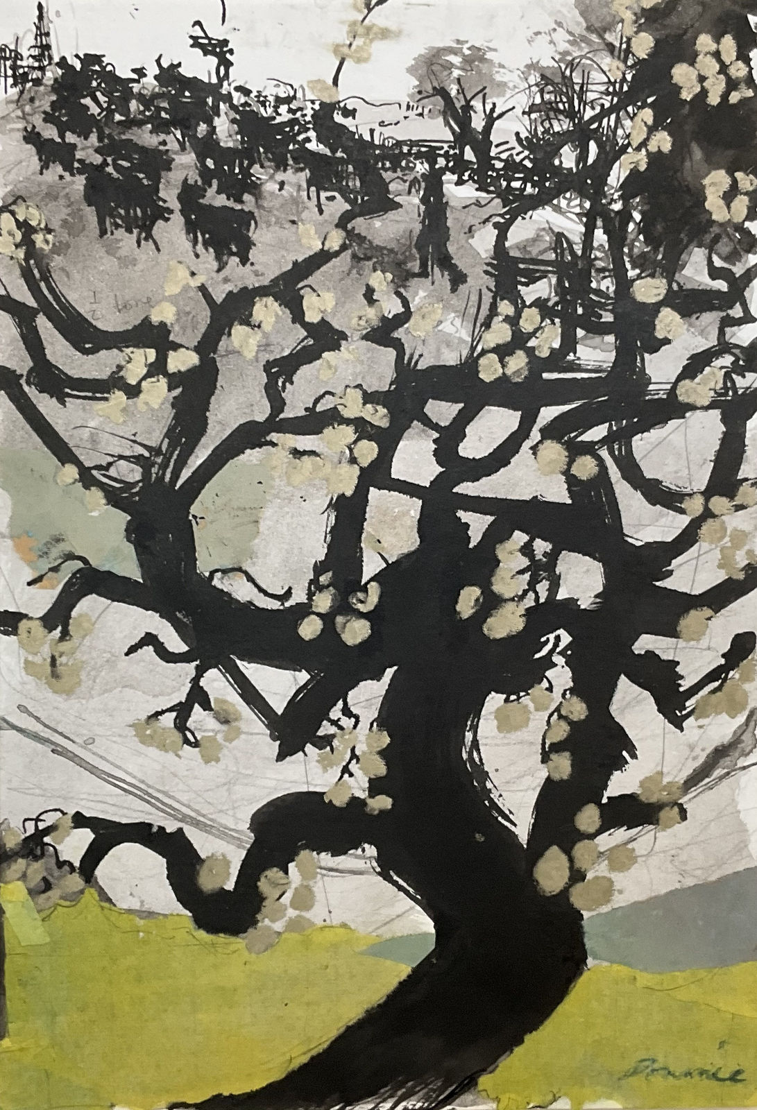 Kate Downie RSA, Golden Crab Apple (study)