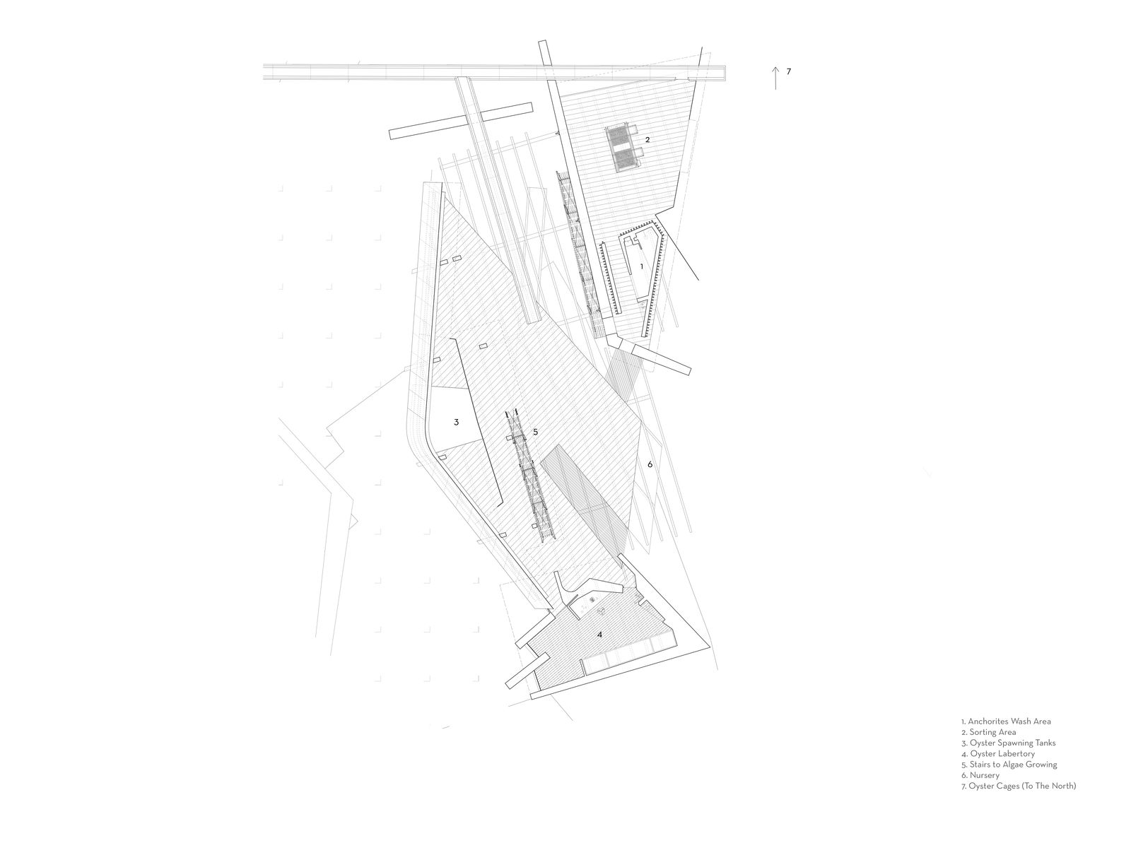 Tom Carney and Stuart Gomes, The Oyster Farm, 2022