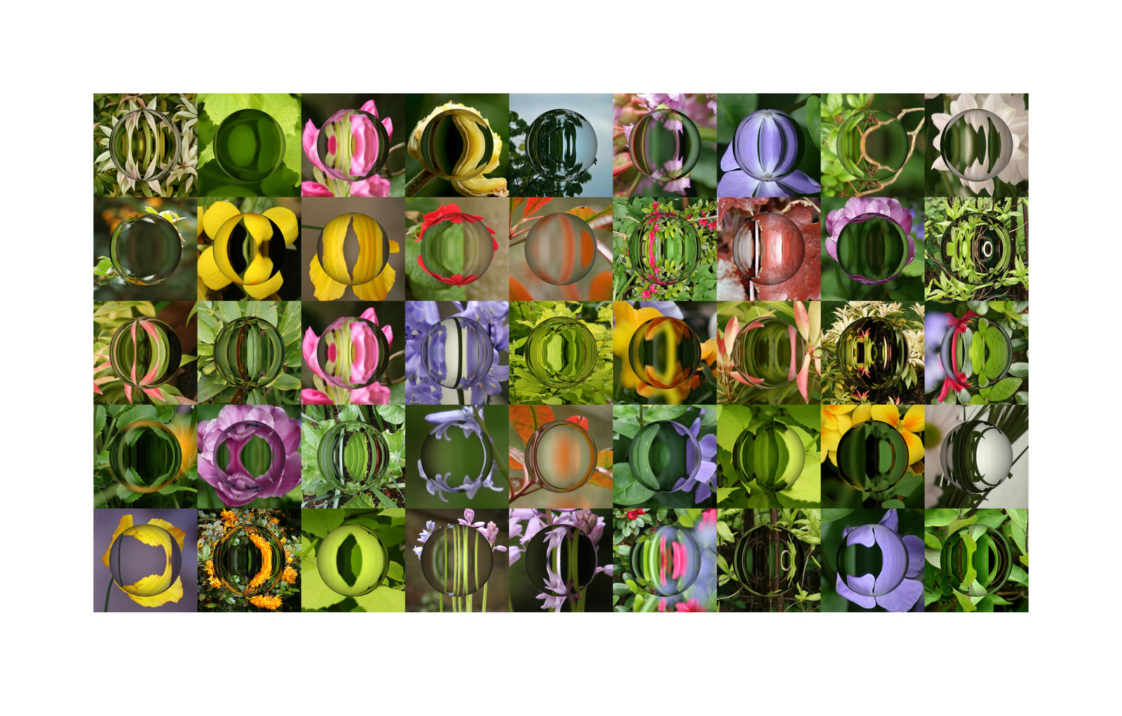 Jim Pattison RSA, Garden III