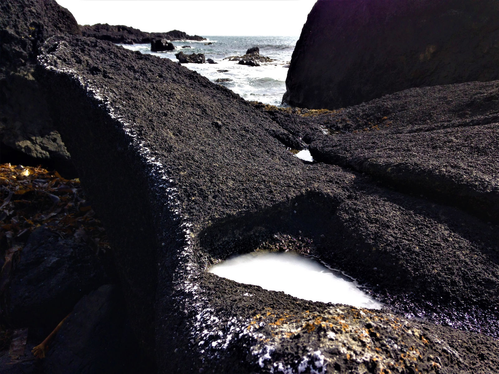 Helen Goodwin, Connecting