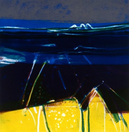 Barbara Rae RSA, Valentia Shore