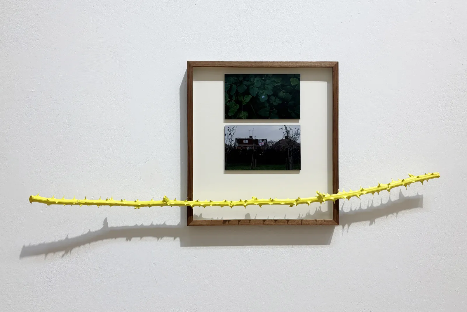 Solomon Pawlyn, Magick, 2026