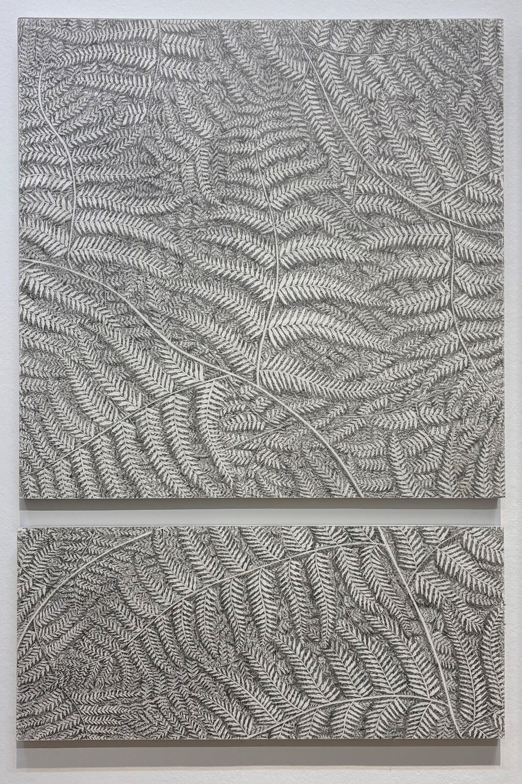 Kitty Yarrow, Pteridomania, 2025