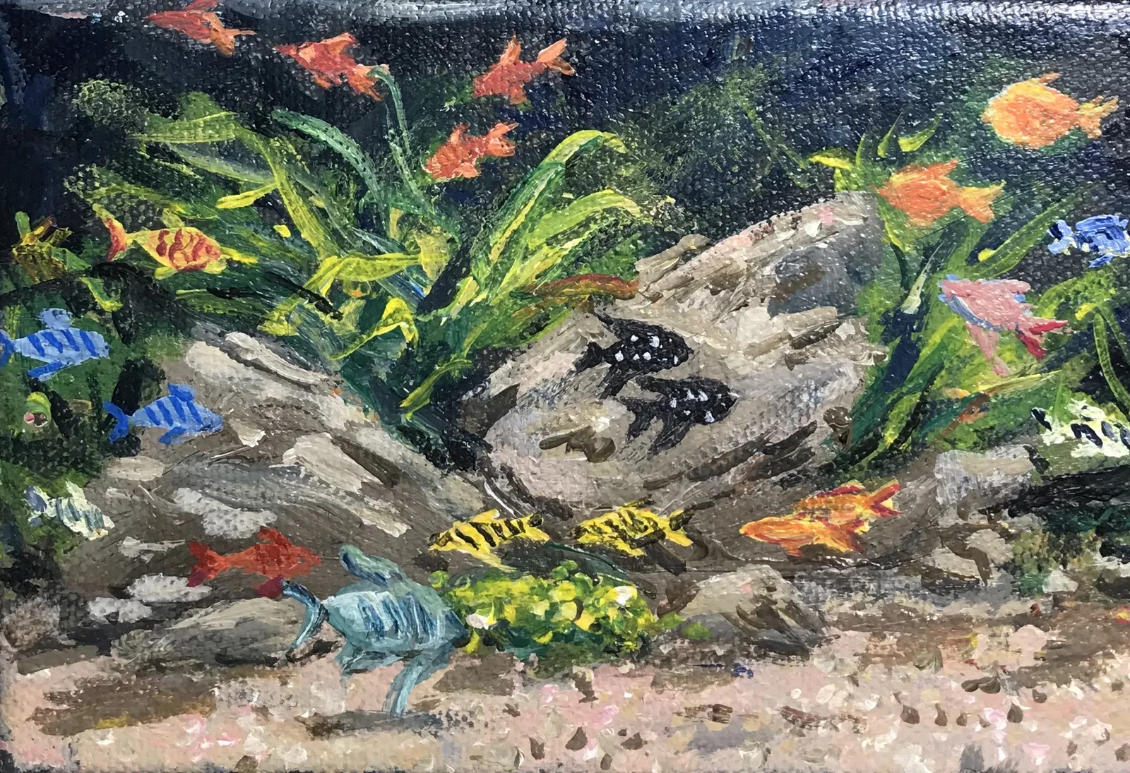 Henry Kondracki RSA, Aquarium