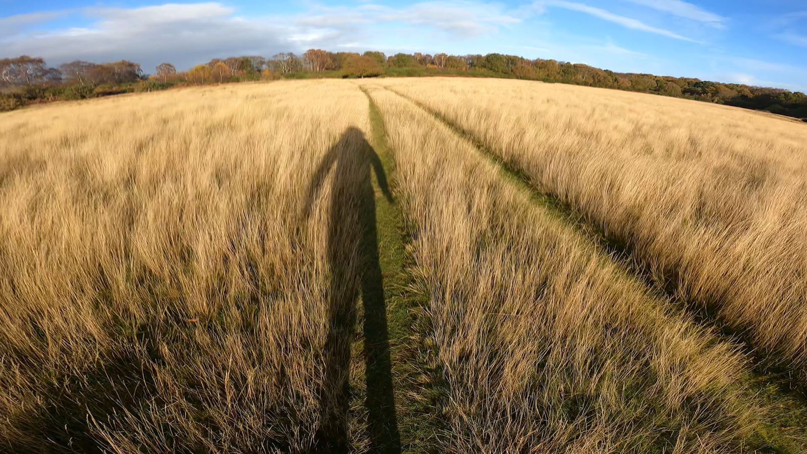 Clem Routledge, X Marks What Spot?, 2022