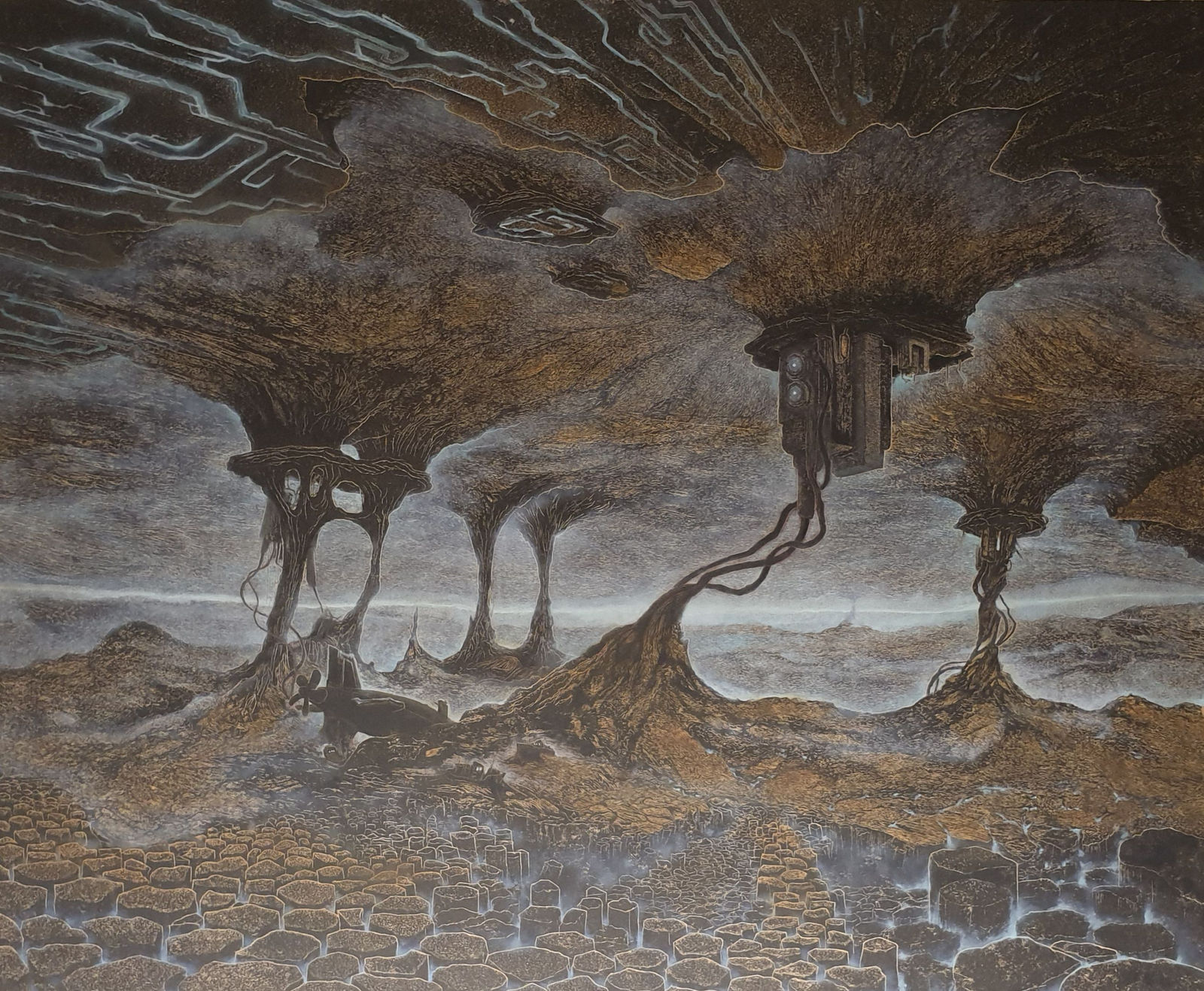 Ade Adesina RSA, Grotto, 2019