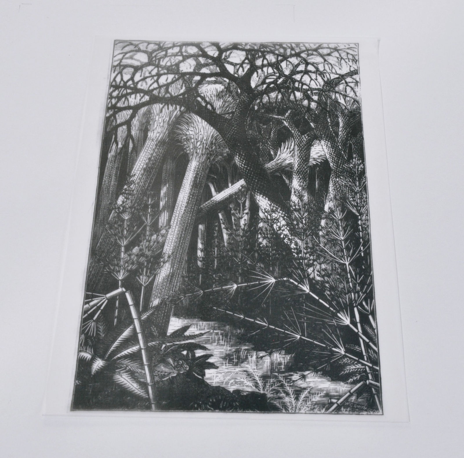 Glen Onwin RSA, Flammable Solid / Flammable Liquid, 1994