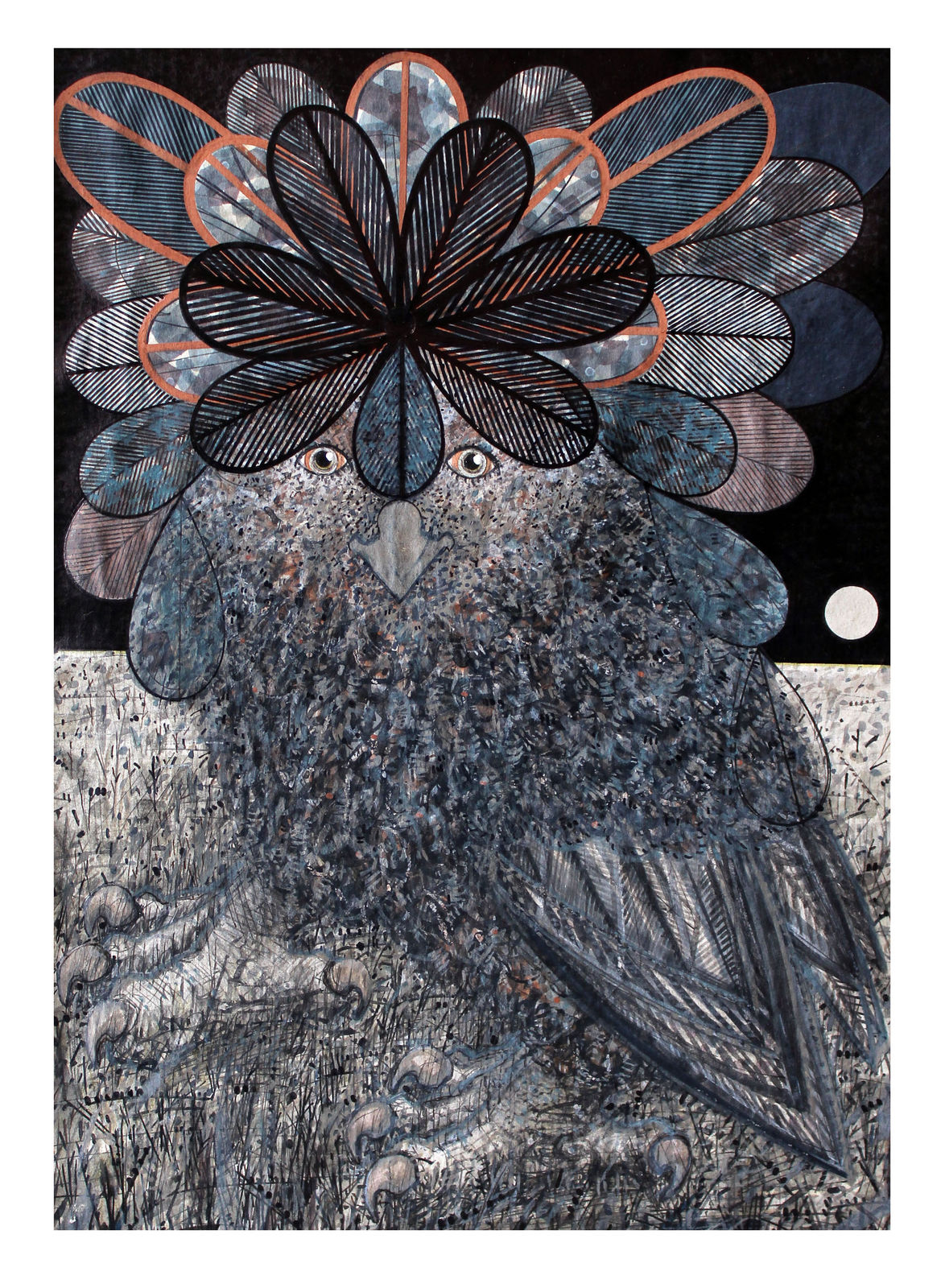 Michael Agnew RSA, Another Wild Colonial Owl, 2020