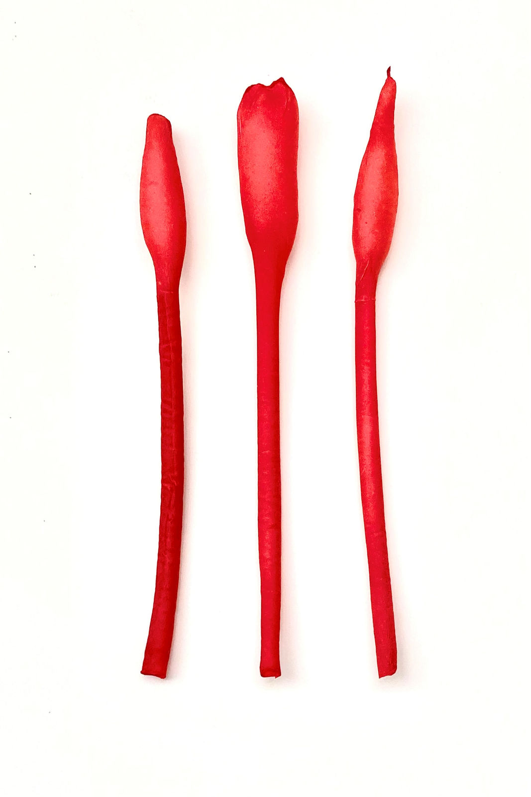 Jacki Parry RSA, ways of editing: red plants 1