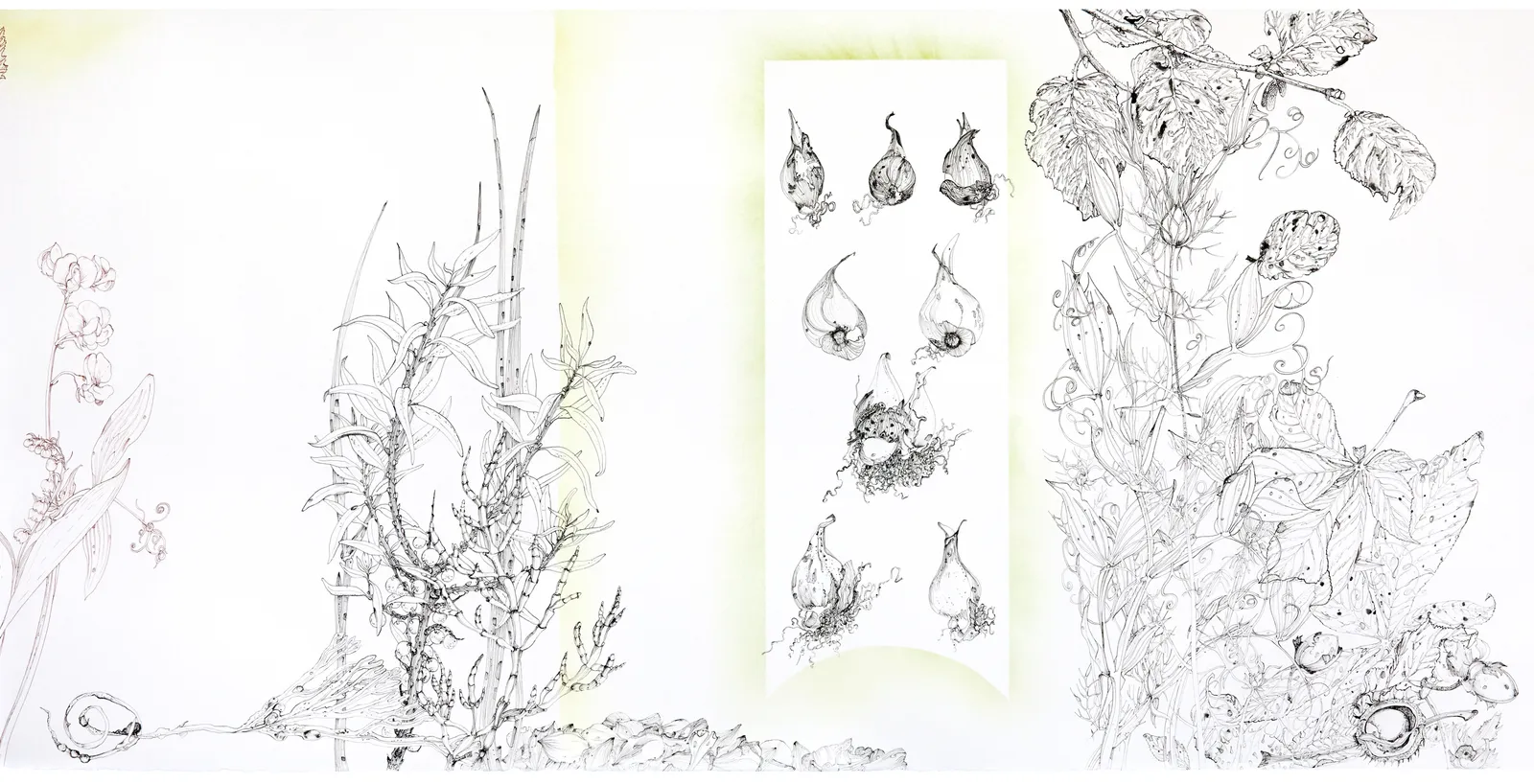 Jane Hyslop RSA, The Oak Tree: a tribute to eternity 1586 -1928, 2023