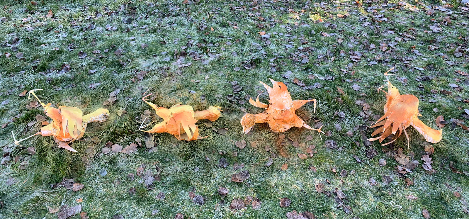 Tom Friel, 3rd prize, Junior Category