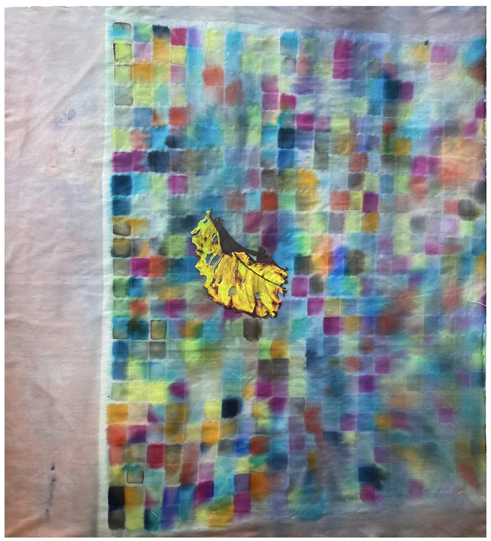 Annabelle Pelaez, Pavement Prisms, 2025-6